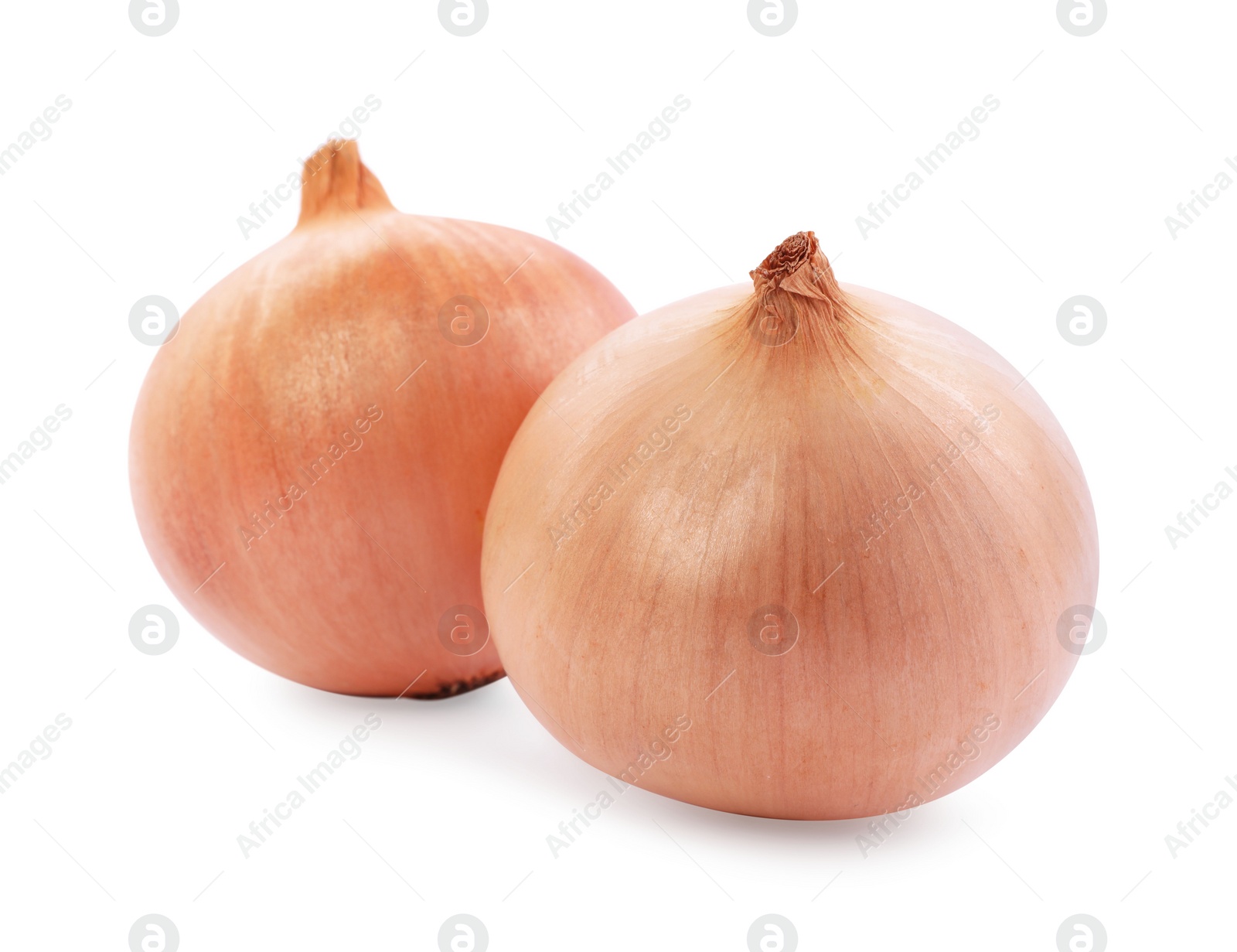 Photo of Two yellow fresh onions isolated on white