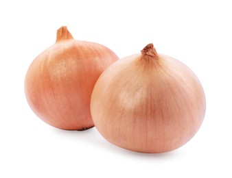 Photo of Two yellow fresh onions isolated on white