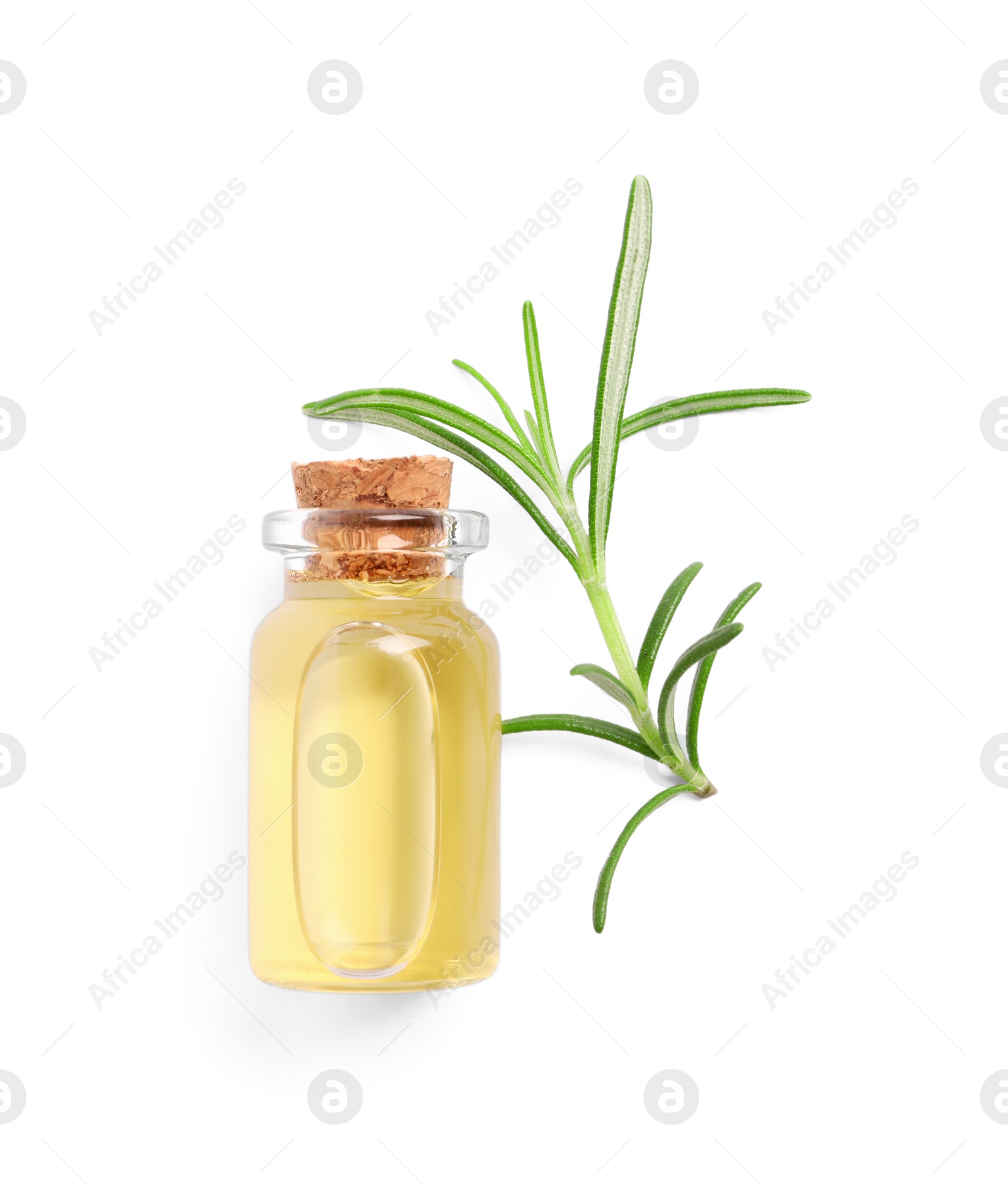 Photo of Sprig of fresh rosemary and essential oil on white background, top view