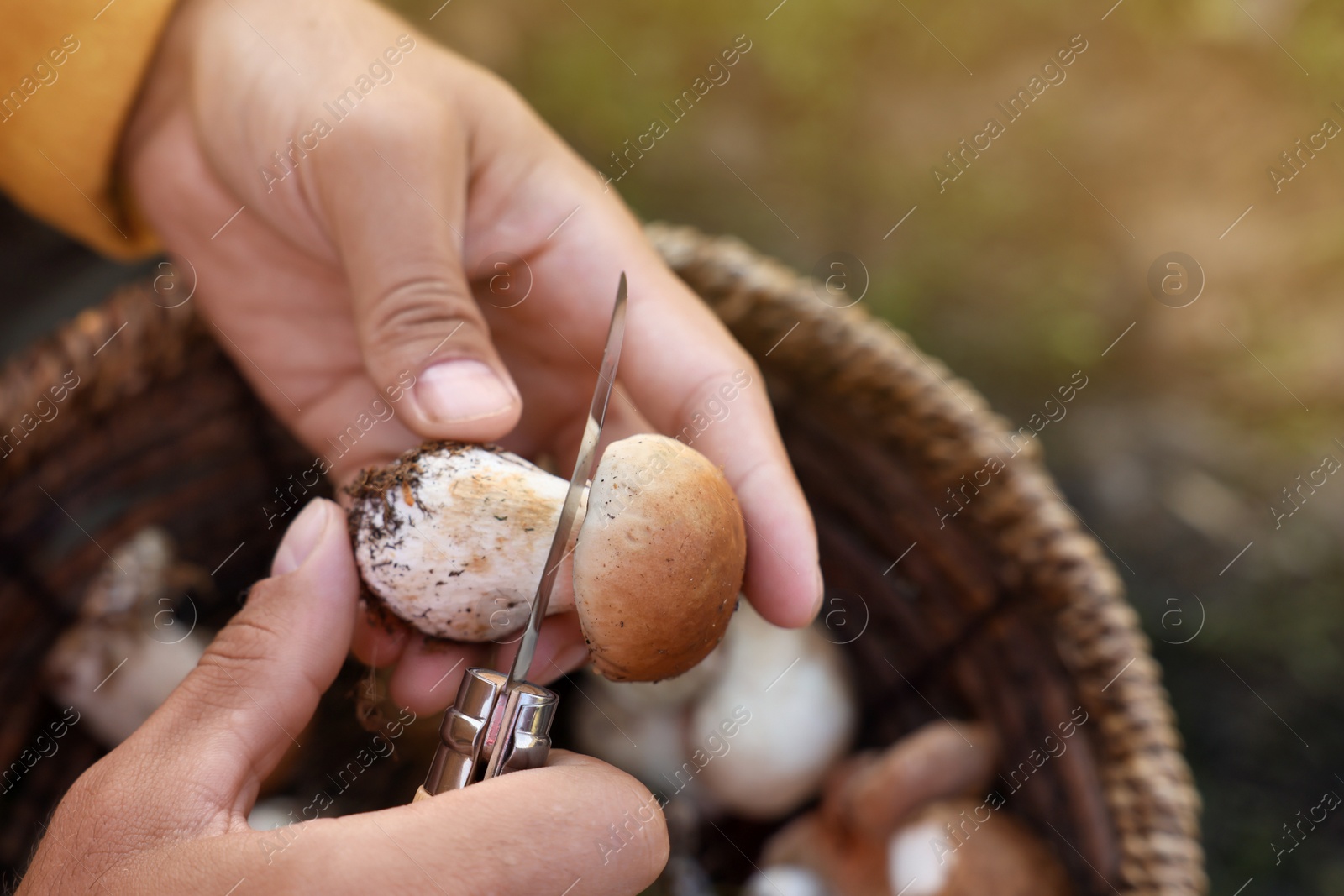 Photo of Man peeling mushroom with knife over basket outdoors, closeup