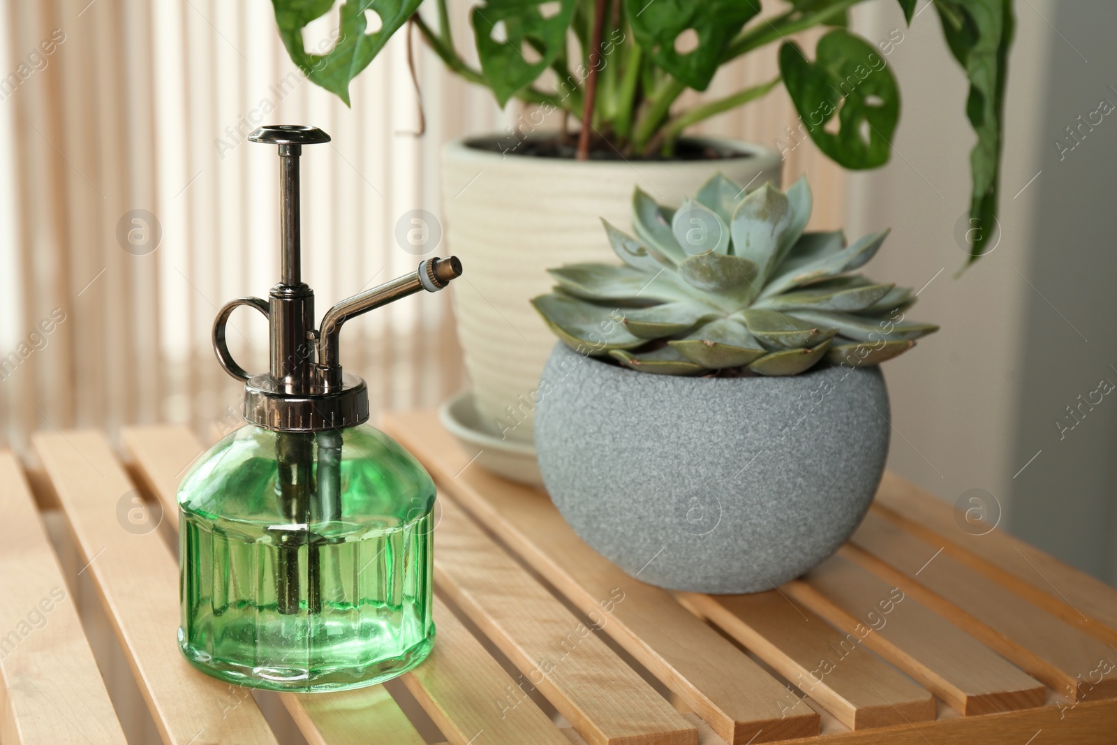 Photo of Mister and potted houseplants on wooden table