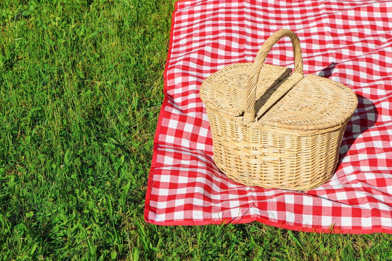 Photo of Picnic basket with checkered tablecloth on green grass outdoors, space for text