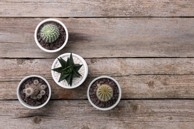 Photo of Many different succulent plants in pots on wooden table, flat lay. Space for text