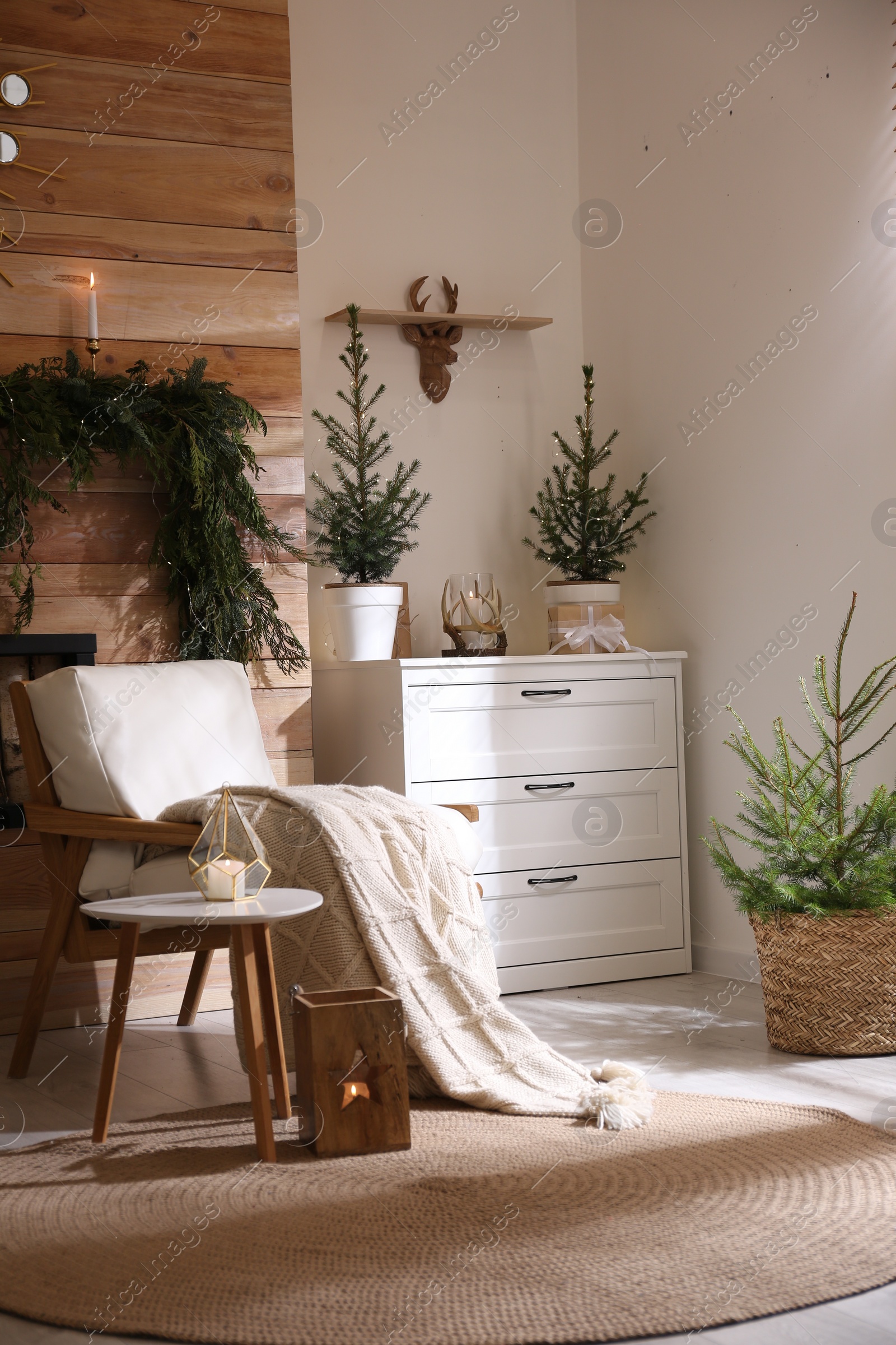 Photo of Beautiful room decorated for Christmas with potted firs. Interior design