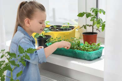 Photo of Cute little girl planting seedlings into plastic container on windowsill indoors