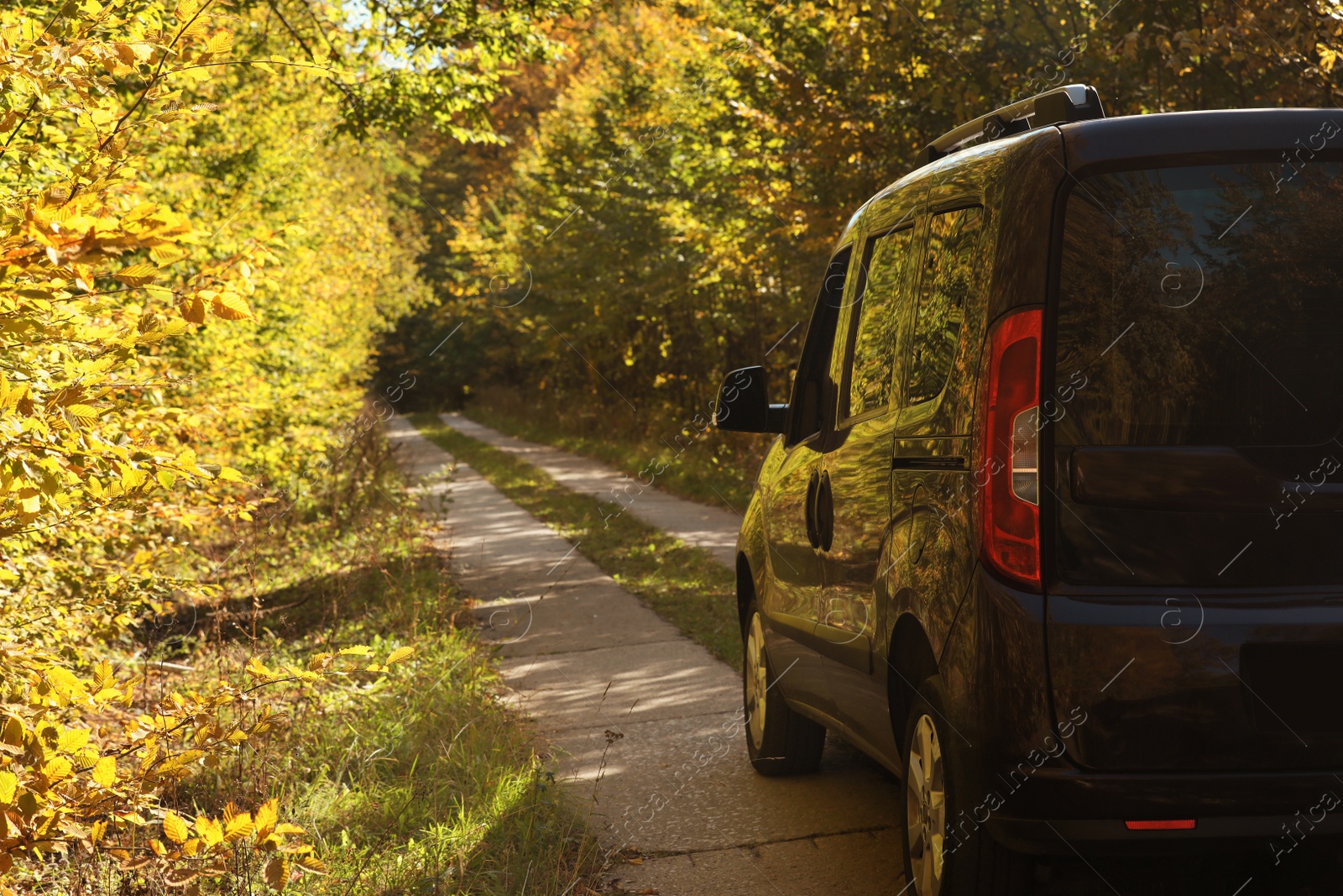 Photo of Car parked on country road near autumn forest. Space for text