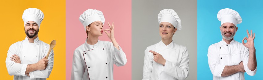 Collage with photos of professional chefs on different color backgrounds