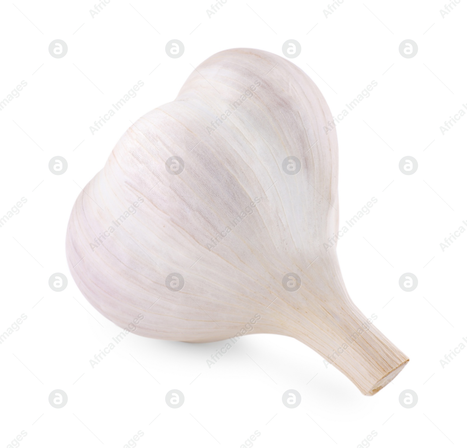 Photo of Head of fresh garlic isolated on white