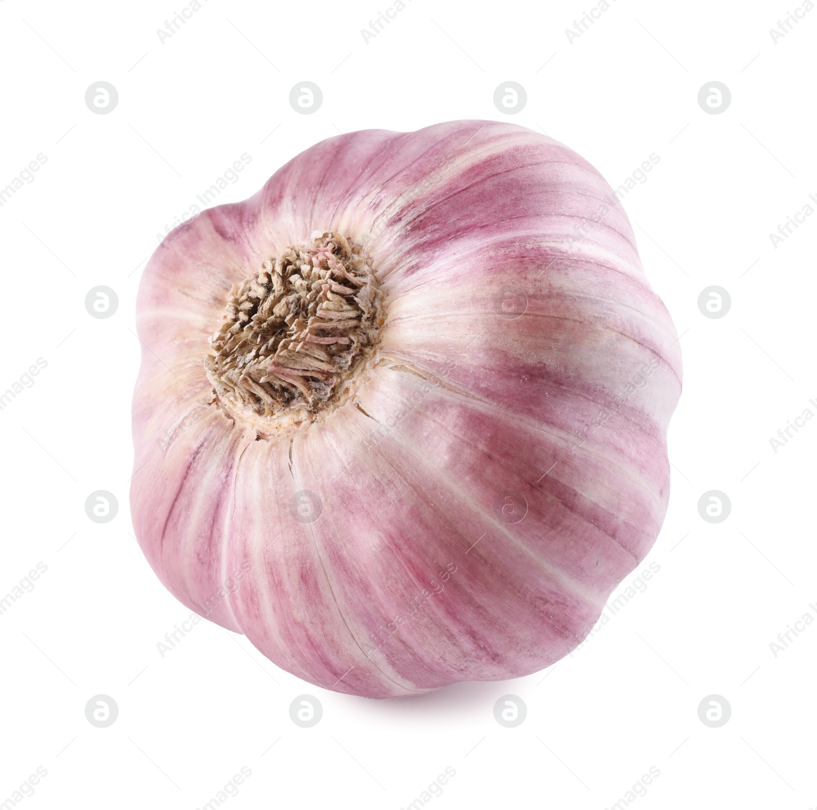 Photo of Fresh raw garlic head isolated on white