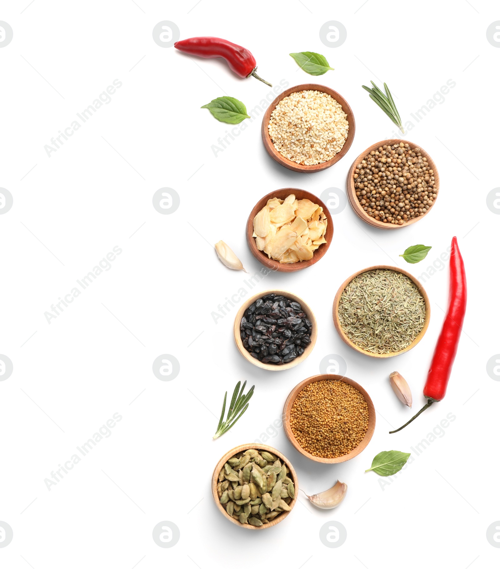 Photo of Composition with different spices on white background