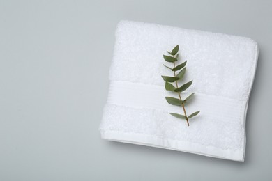 Photo of White terry towel and eucalyptus branch on light grey background, top view. Space for text