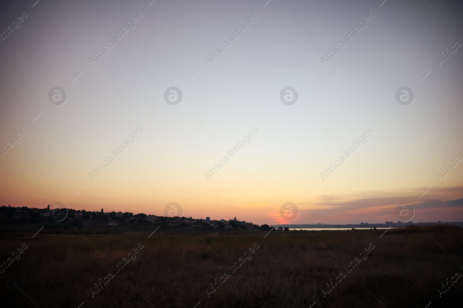 Photo of Beautiful view of field at sunrise. Early morning landscape