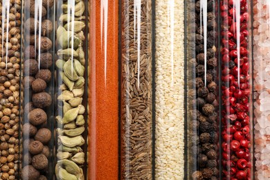 Photo of Glass tubes with different spices, closeup view