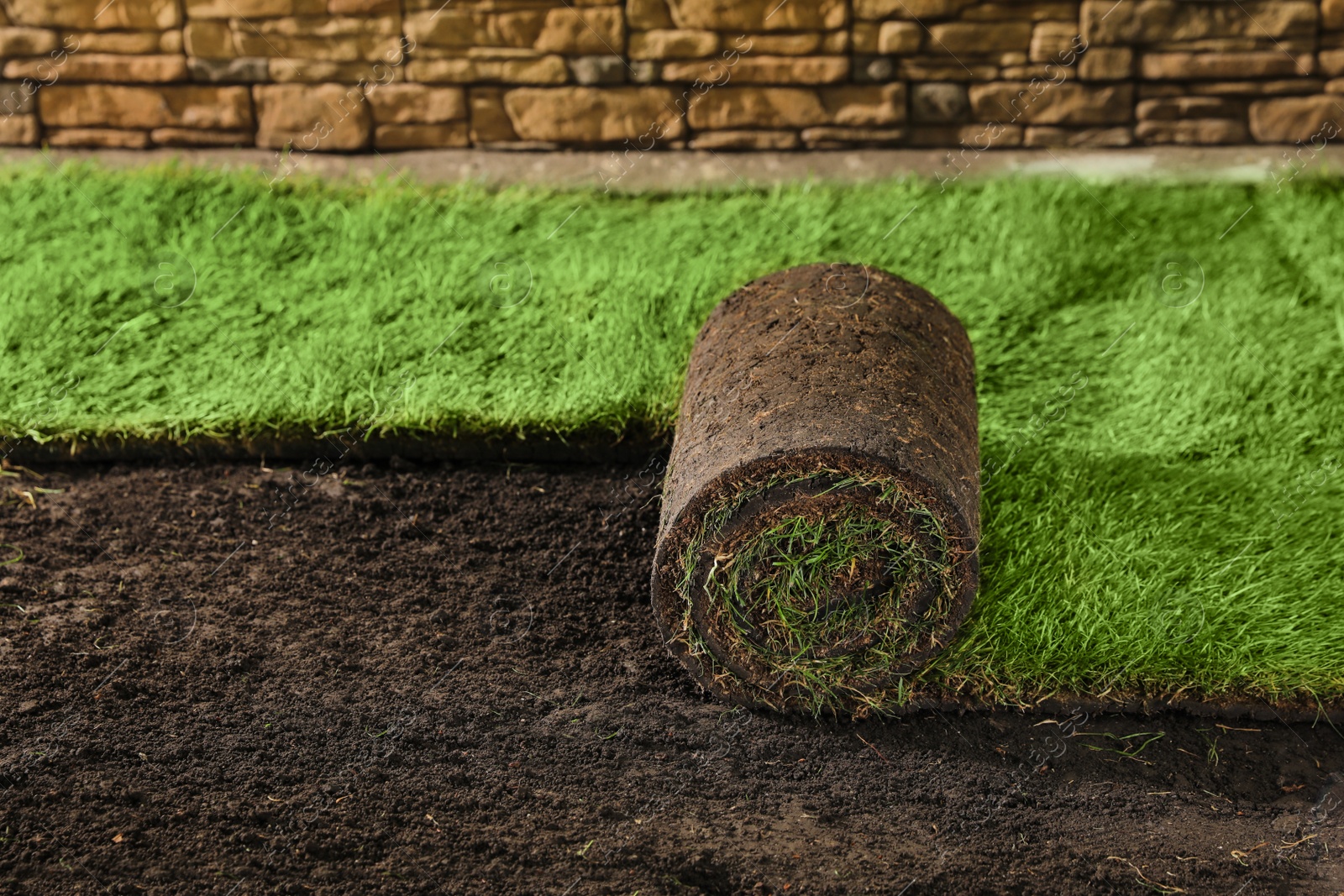 Photo of Laying grass sods at backyard. Home landscaping