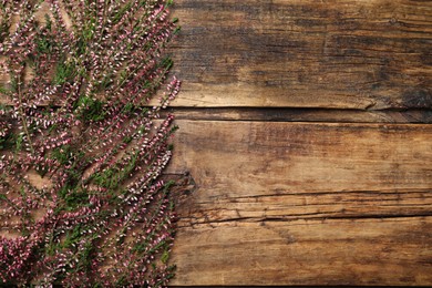 Photo of Heather branches with beautiful flowers on wooden table, flat lay. Space for text