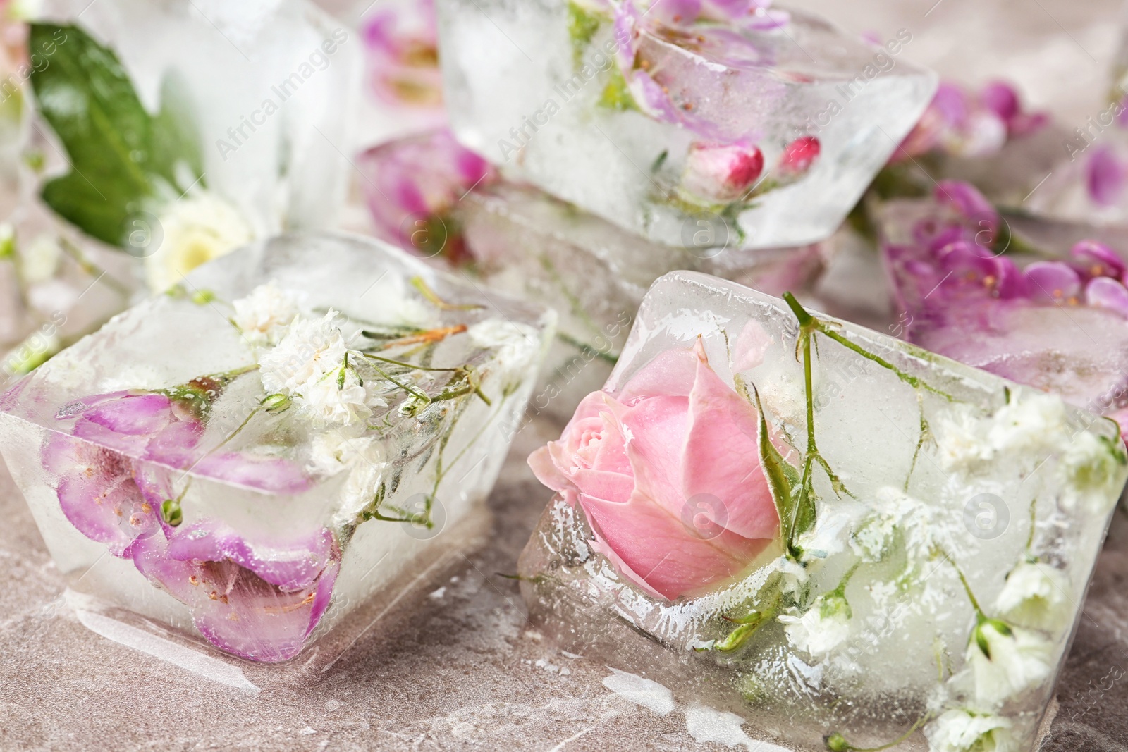 Photo of Floral ice cubes on table, closeup view