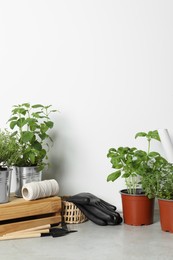 Different aromatic potted herbs, gardening tools, gloves and spool of thread on floor near white wall