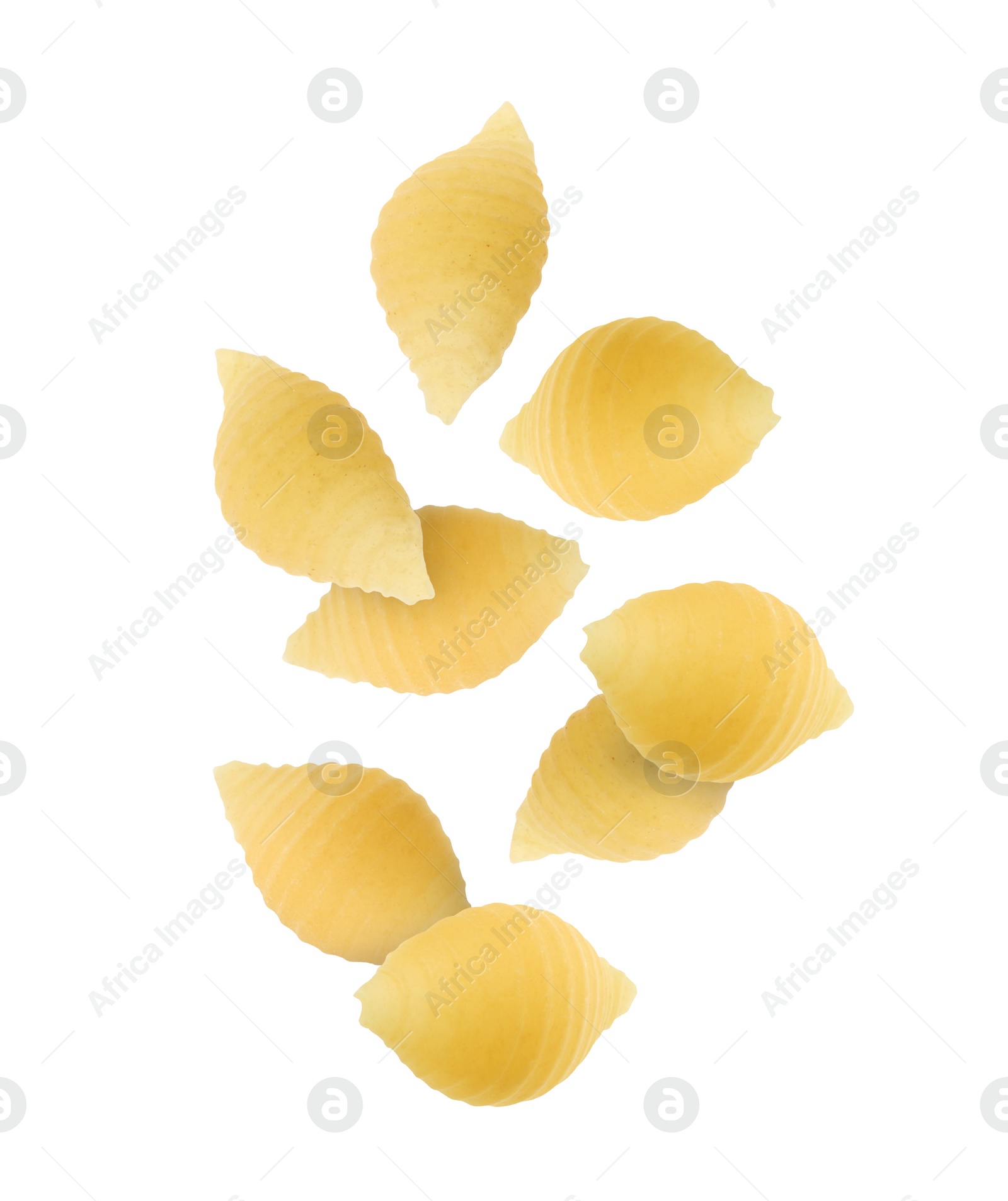 Image of Raw conchiglie pasta flying on white background