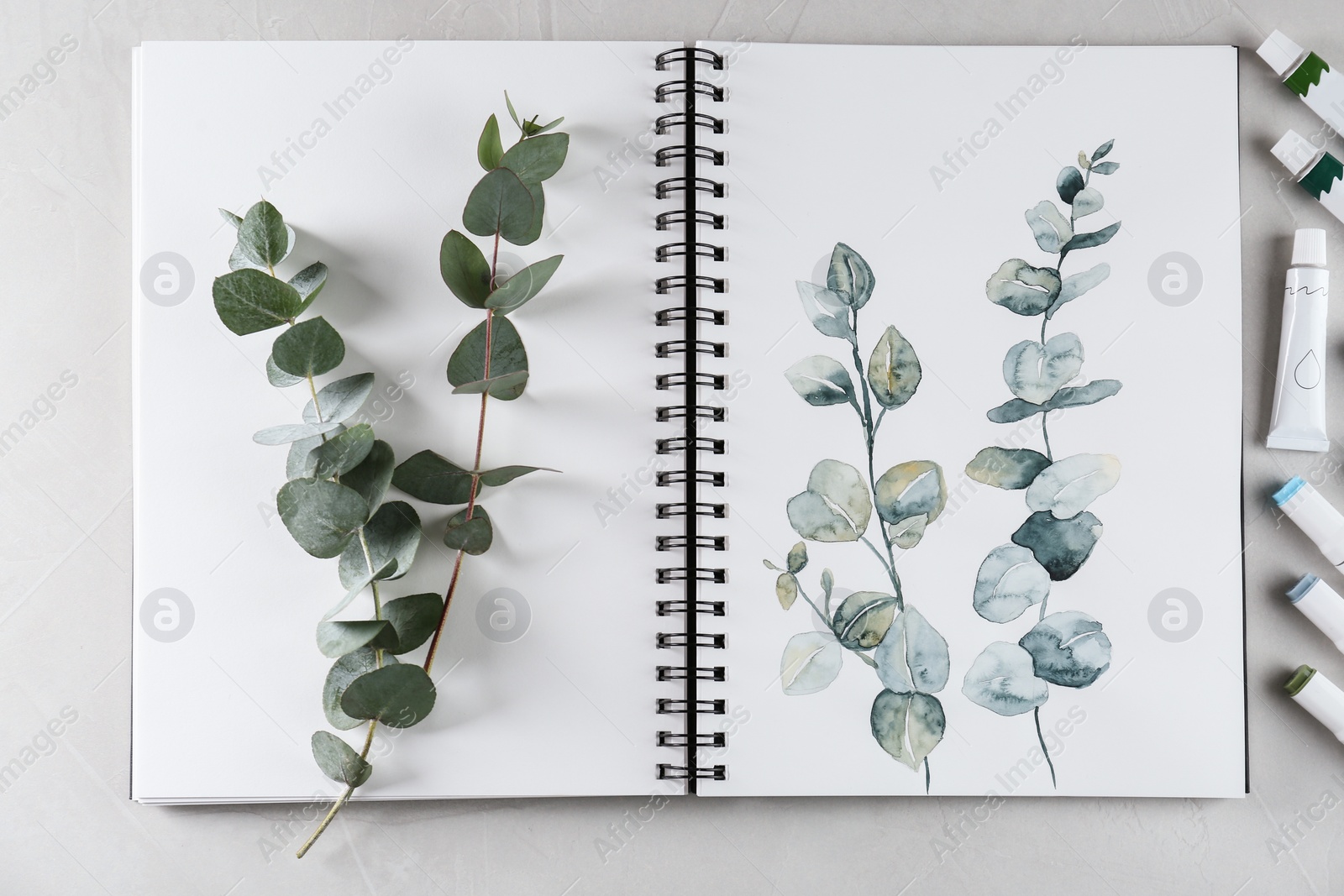 Photo of Flat lay composition with beautiful drawing of eucalyptus branches on white table