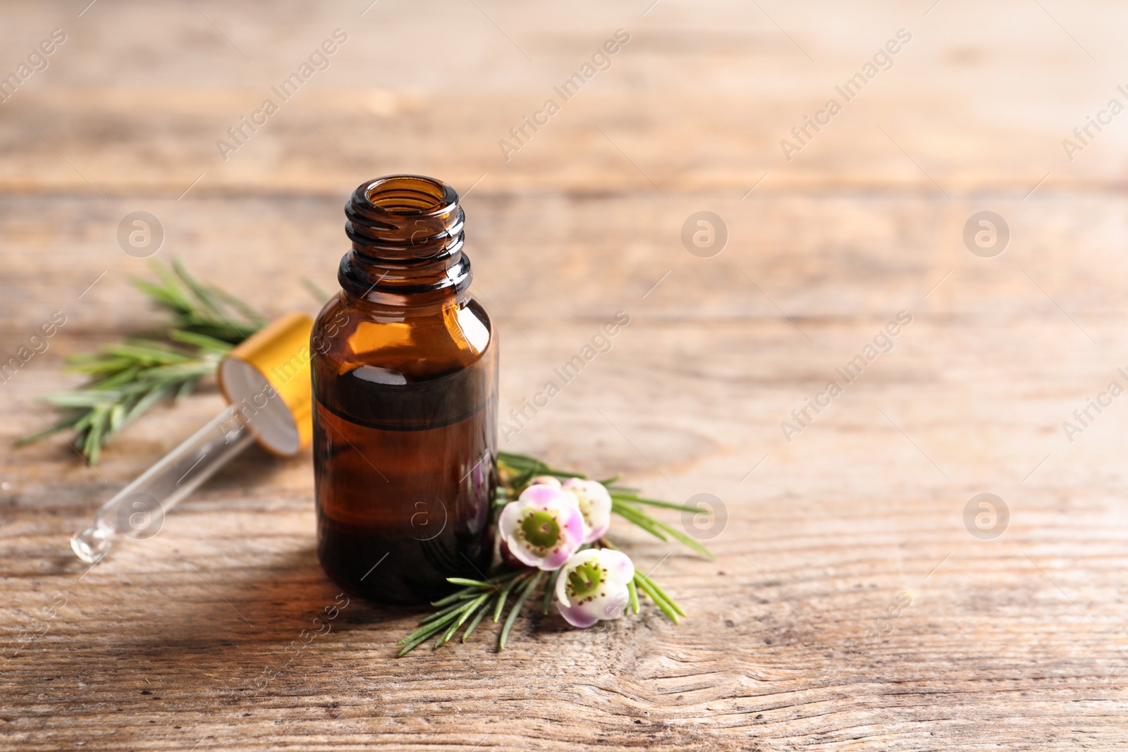 Photo of Bottle of natural tea tree oil and plant on table, space for text