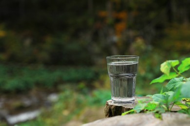 Photo of Glass of fresh water on stump in forest. Space for text