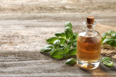 Photo of Glass bottle of basil essential oil and leaves on wooden table. Space for text