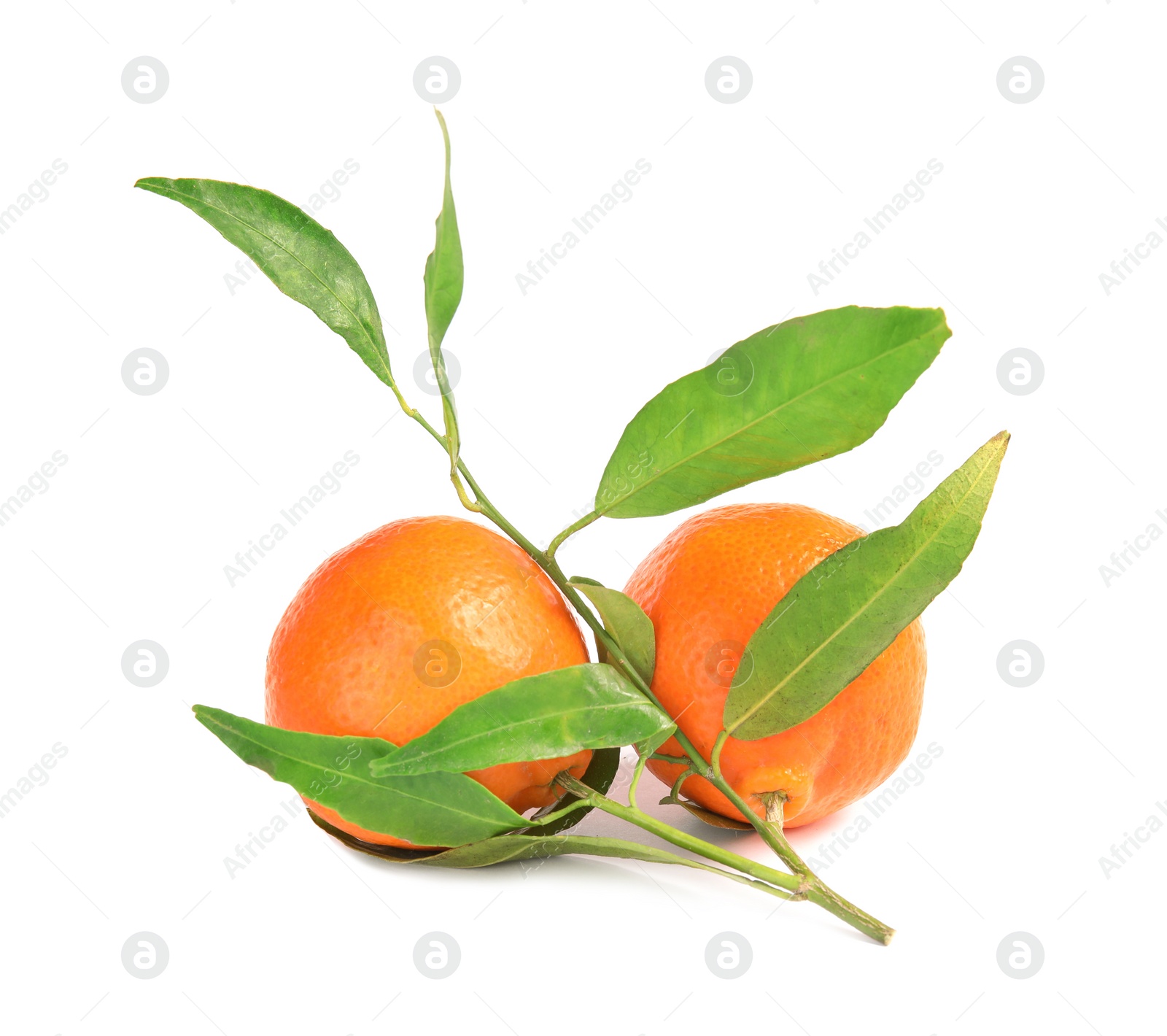 Photo of Tasty ripe tangerines with leaves on white background