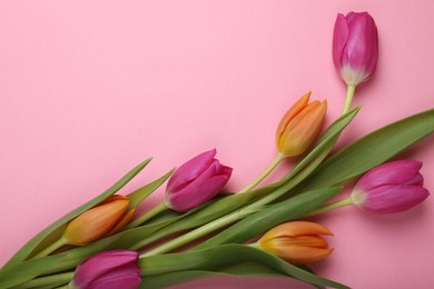 Photo of Beautiful tulips on pink background, flat lay. Space for text
