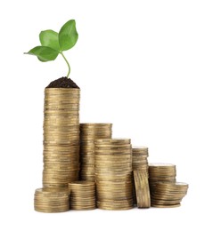 Photo of Stacks of coins and green plant on white background. Investment concept