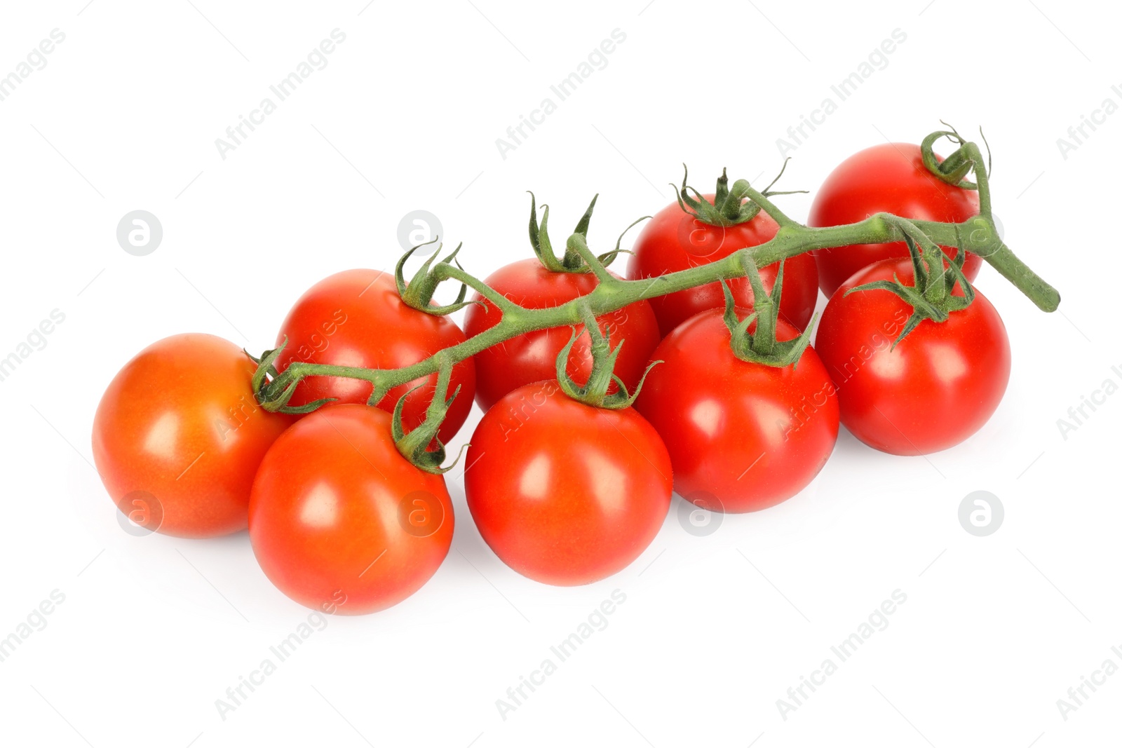 Photo of Branch of red ripe cherry tomatoes isolated on white