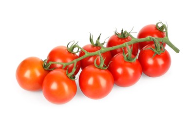 Photo of Branch of red ripe cherry tomatoes isolated on white