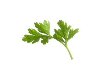 Photo of Leaves of fresh tasty parsley on white background