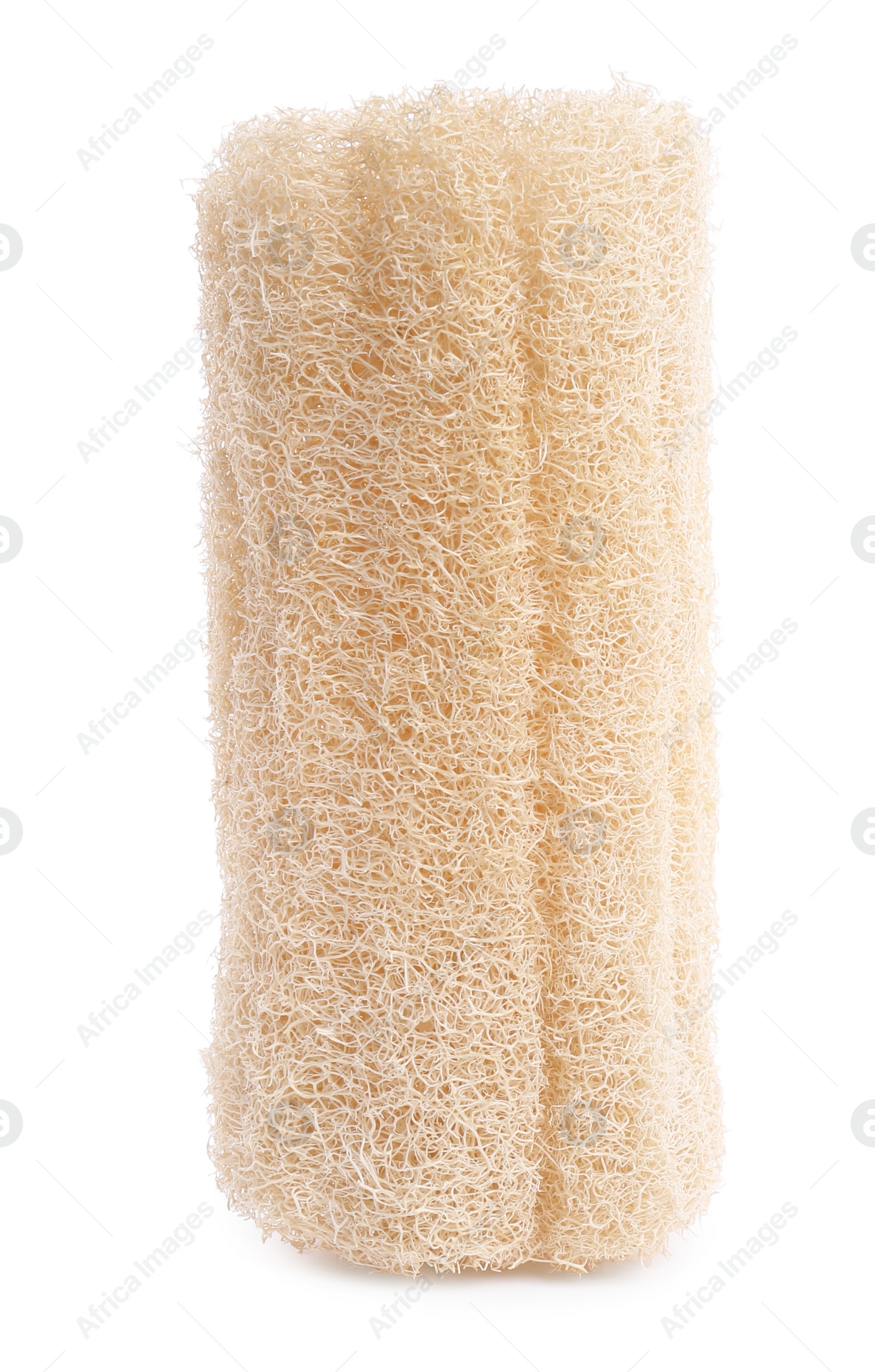 Photo of Loofah sponge isolated on white. Personal hygiene product