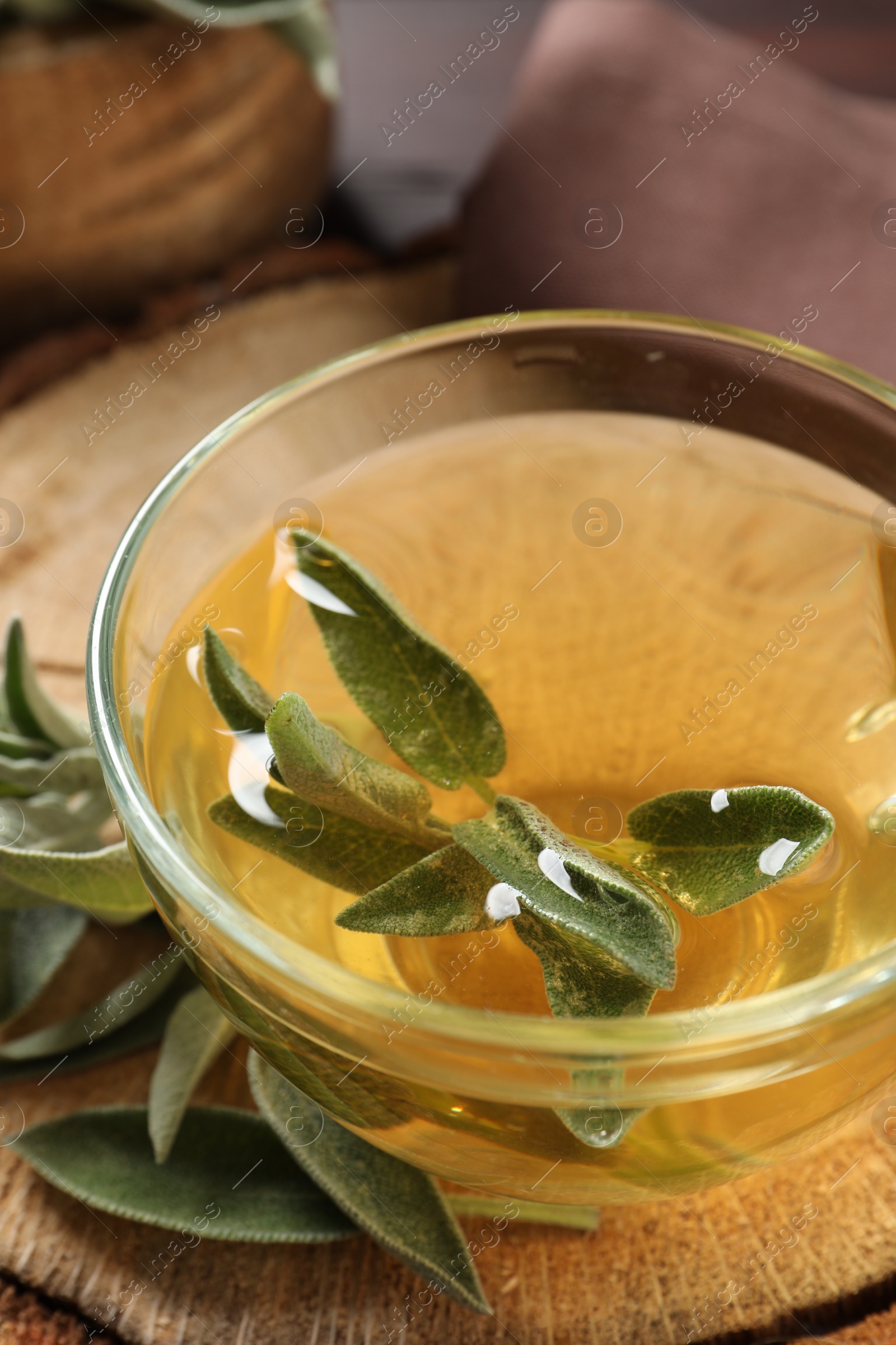 Photo of Cup of aromatic sage tea and fresh leaves on wooden stump, closeup