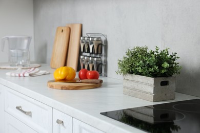 Potted artificial plant on white countertop in kitchen