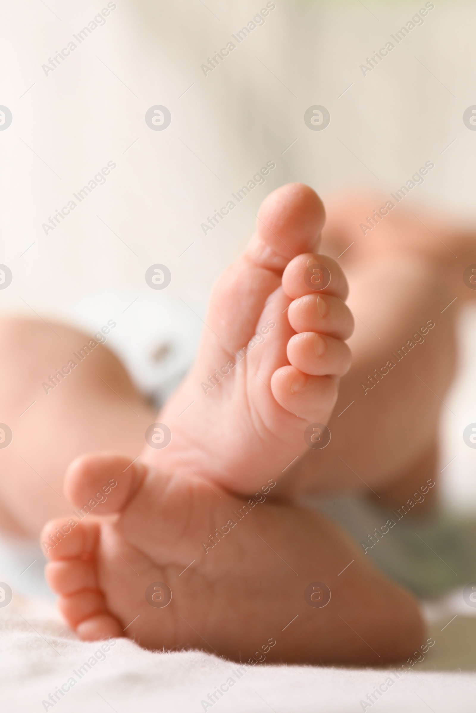 Photo of Cute newborn baby lying on bed, closeup of legs