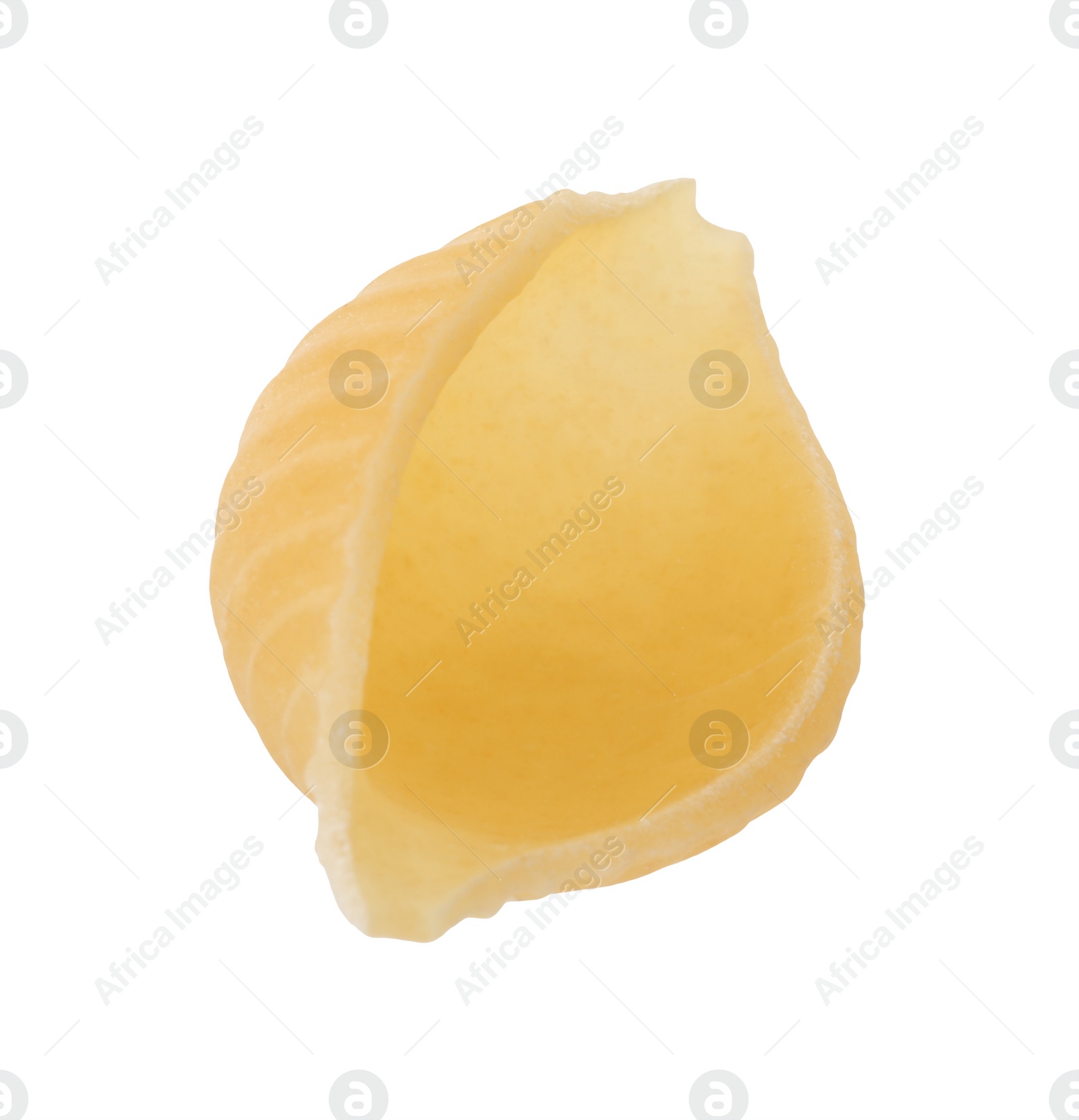 Photo of One piece of raw conchiglie pasta isolated on white