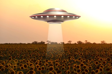 Image of Alien spaceship emitting light in air over sunflower field. UFO