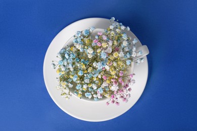Photo of Beautiful gypsophila flowers in white cup on blue background, top view