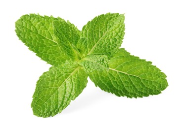 Fresh green mint leaves isolated on white