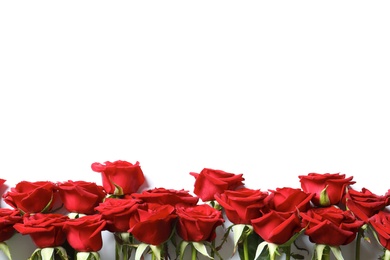 Photo of Beautiful red rose flowers on white background, top view