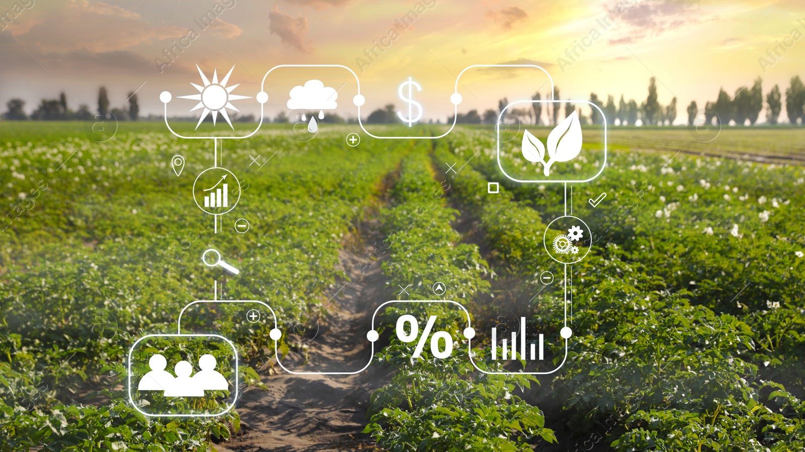 Image of Modern agriculture concept. Icons and field on background