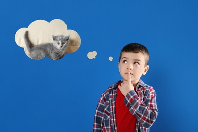 Little boy on blue background dreaming about cute kitten