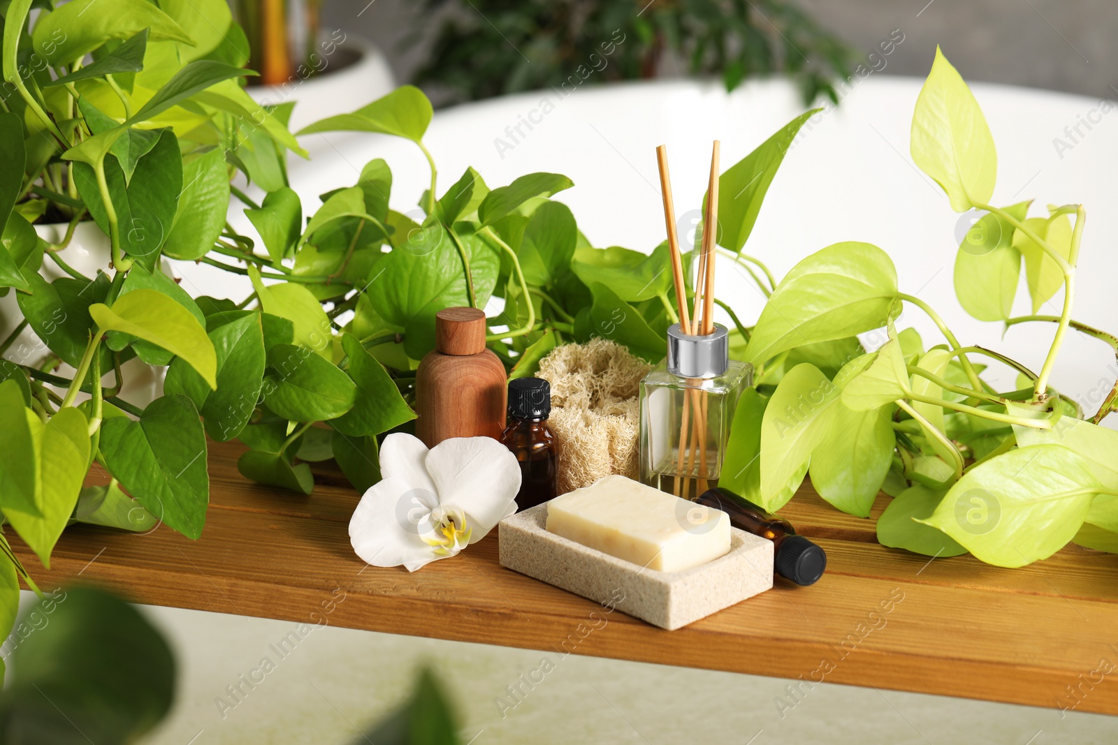 Photo of Composition with different spa products and green houseplants on tub tray in bathroom