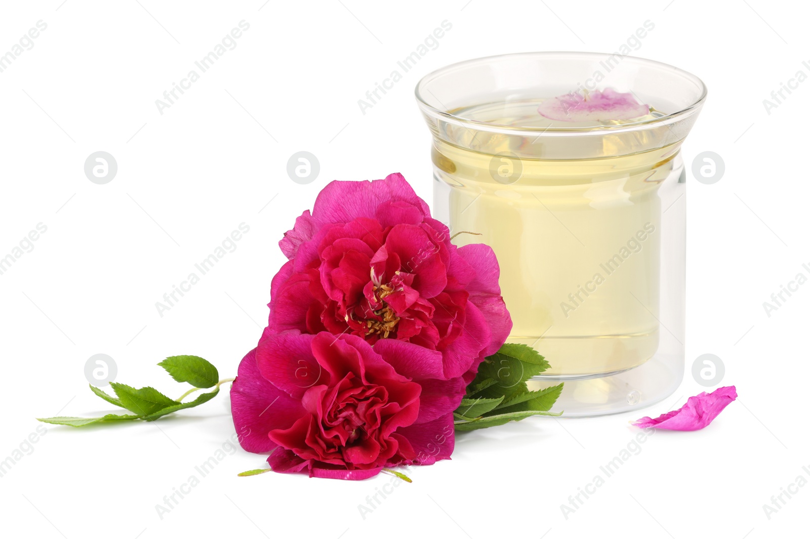 Photo of Aromatic herbal tea in glass with rose flowers isolated on white