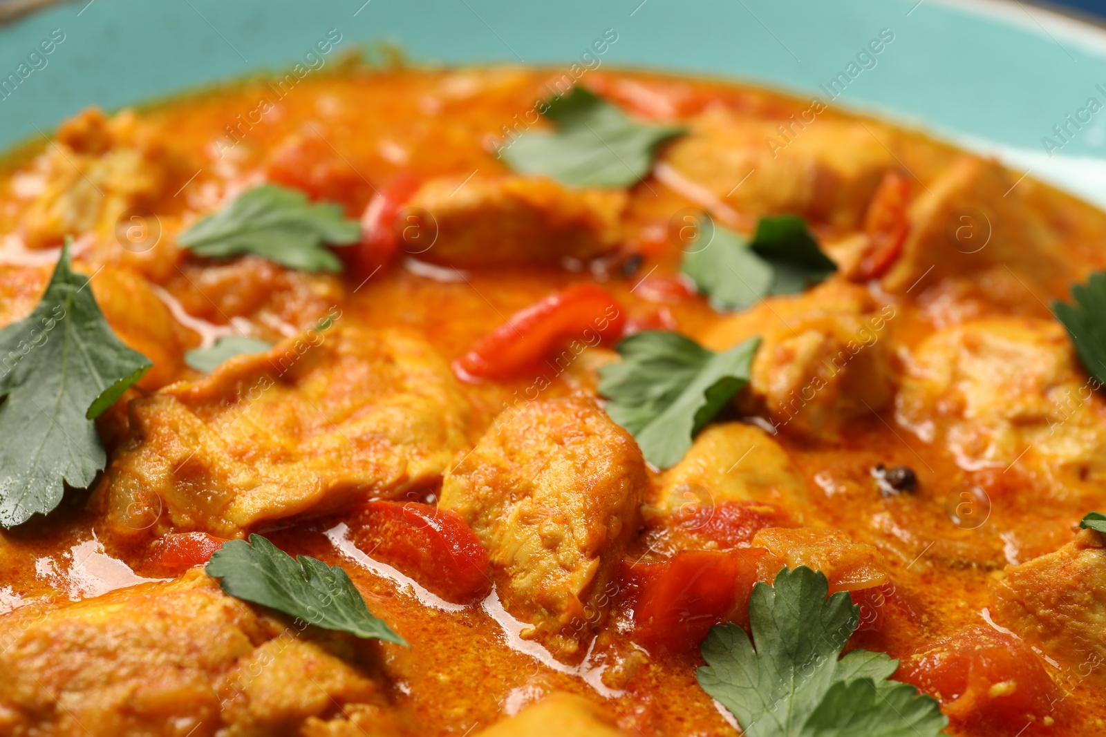 Photo of Delicious chicken curry with parsley in plate, closeup