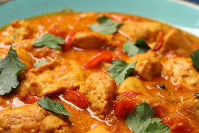 Delicious chicken curry with parsley in plate, closeup