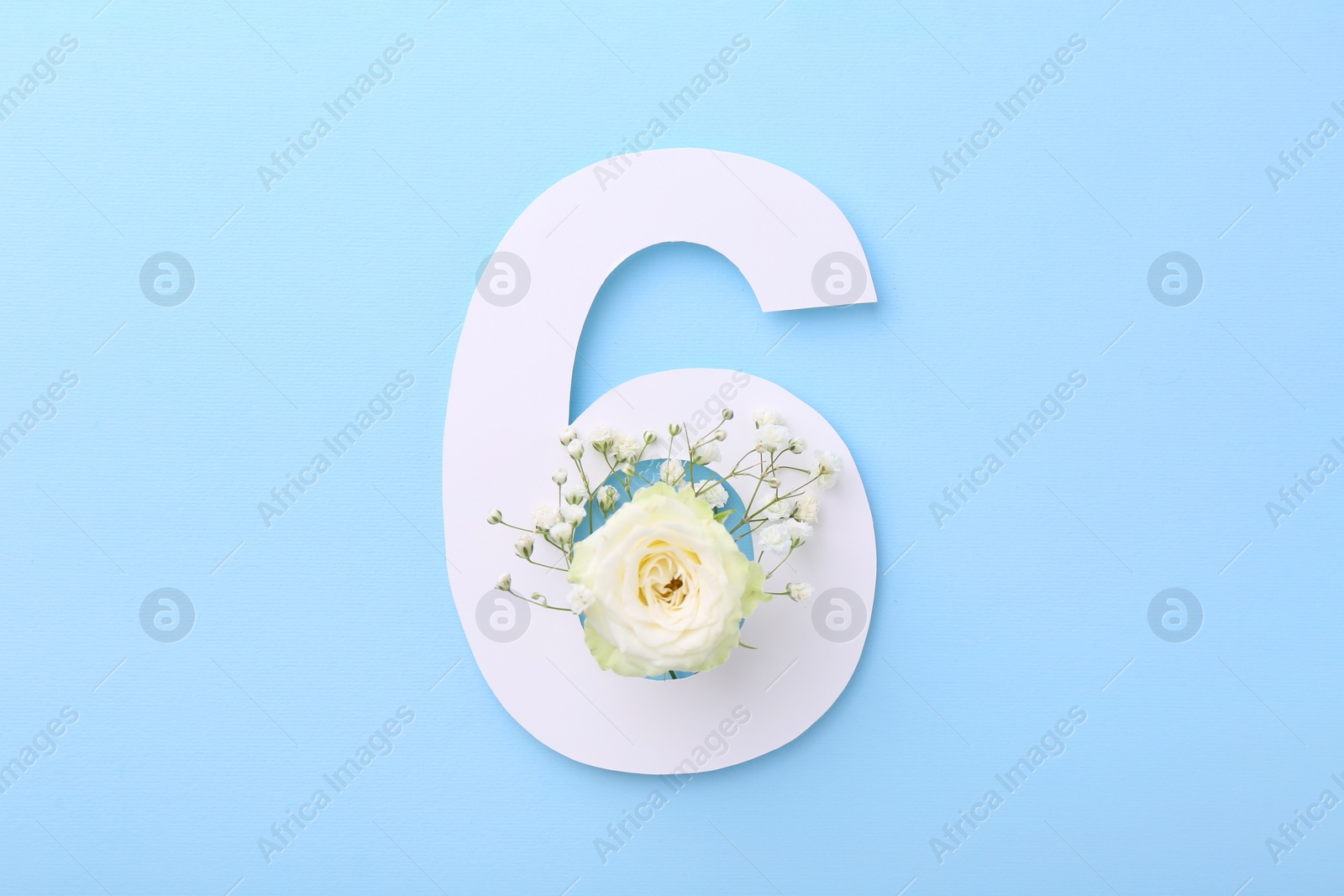 Photo of Paper number 6 and beautiful flowers on light blue background, top view