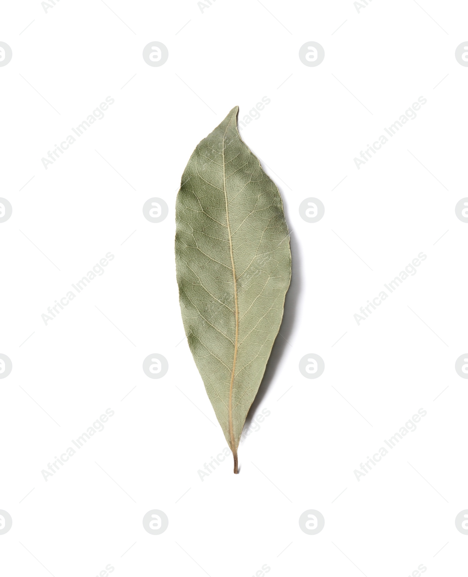 Photo of One aromatic bay leaf on white background, top view