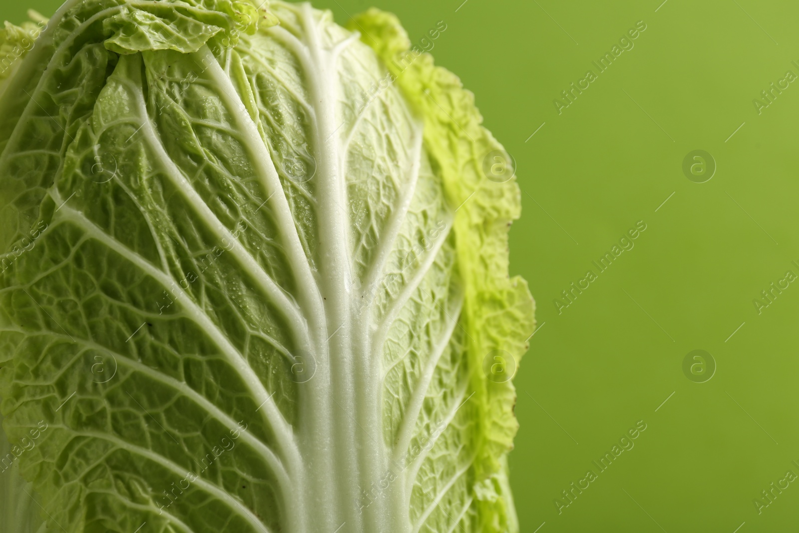 Photo of Fresh ripe Chinese cabbage on light green background, closeup. Space for text